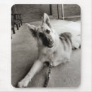Buscar gsd alfombrillas de raton Alsaciano