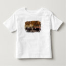 Buscar pn camisetas Medioambiente