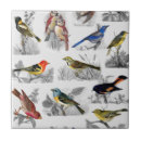 Buscar pasado de moda azulejos Vintage