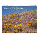 Buscar flores calendarios California
