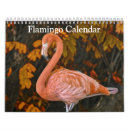 Buscar flamingo calendarios Flamencos