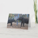 Buscar mejores amigos tarjetas Elefante