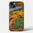 Buscar oso ipad fundas Bosque