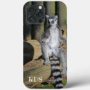 Buscar lemur electronica Animales