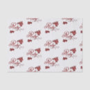 Buscar texto papel de seda Para ellos