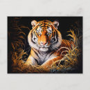 Buscar tigre chino postales Naturaleza