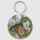 Buscar aster llaveros Insectos