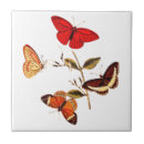 Buscar insect azulejos Para ella
