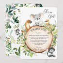 Buscar koala tarjetas Eucalipto