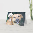 Buscar besos del perro tarjetas Adorable