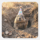 Buscar marmot pegatinas General y unisex