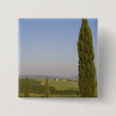 Buscar siena chapas Toscana