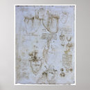 Buscar corazón humano posters Venas