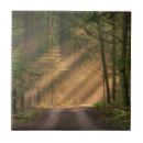 Buscar cedro azulejos Paisaje