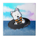 Buscar dados azulejos General y unisex