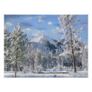 Buscar yellowstone fotografía Ee uu