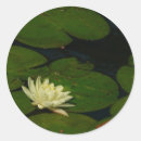 Buscar waterlily pegatinas Naturaleza