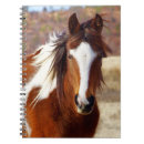 Buscar caballos cuadernos Chica