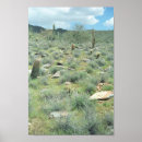 Buscar desiertos posters Del desierto