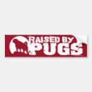 Buscar aumentado Perros