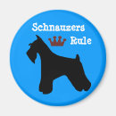 Buscar perro schnauzer imanes Schnauzers