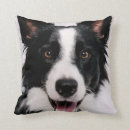 Buscar border collie cojines Divertido