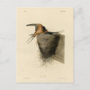 Buscar trago postales Ilustracion