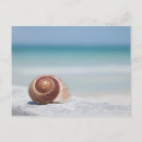 Buscar san petersburgo postales Playa
