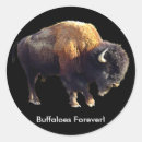 Buscar bisonte americano pegatinas Animales