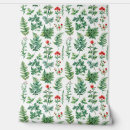 Buscar helecho posters Dibujar