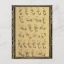 Buscar gestos postales Para todos