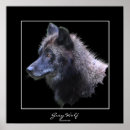 Buscar ecologista posters Lobos