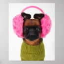 Buscar griffon posters Cachorro