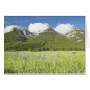 Buscar lupine Escénico