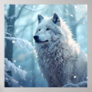 Buscar lobo solitario posters Alfa