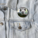 Buscar siamés chapas Lindo