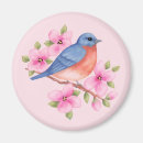 Buscar bluebird imanes Verde