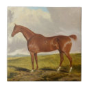 Buscar imágenes de caballos azulejos Imágenes del bridgeman