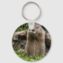 Buscar marmotas llaveros Roedor