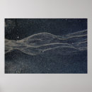 Buscar serpiente blanca posters Naturaleza