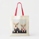 Buscar corgis 2015