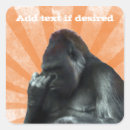 Buscar gorila pegatinas Chimpancé