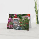 Buscar rata linda postales Dulce