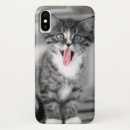 Buscar foco fotografía Gato