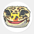 Buscar leopardo pegatinas Lagarto