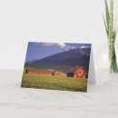 Buscar campos de trigo tarjetas Granero