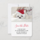 Buscar pom invitaciones Cachorro