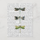 Buscar print postales Animales