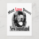 Buscar perro de terranova postales Newfie