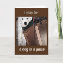 Buscar purse tarjetas Amigo